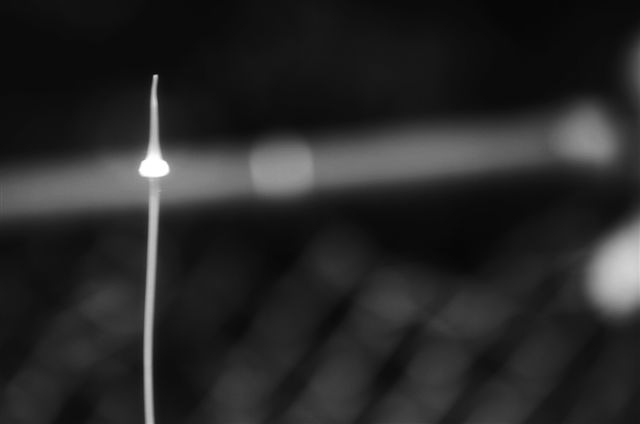 _DSC2676%20(1)