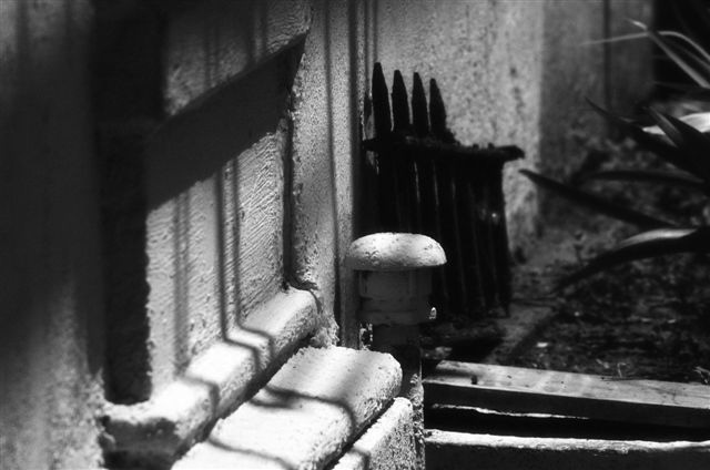 _DSC2702%20(1)