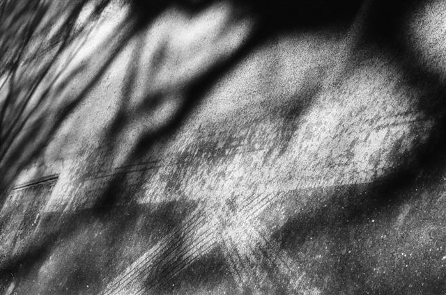 _DSC2990