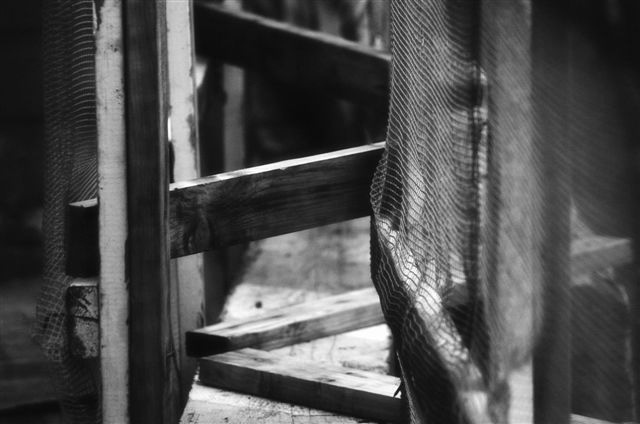 _DSC3042%20(1)