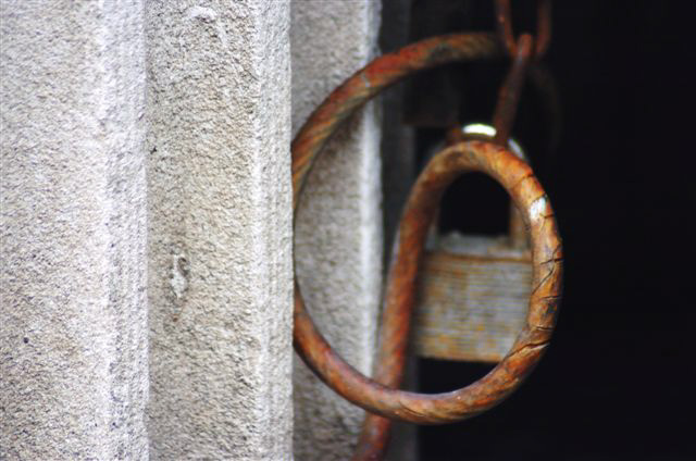_DSC3046%20(1)