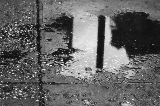 _DSC3048%20(1)