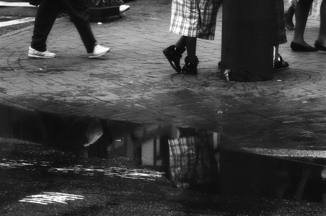 _DSC3068%20(1)