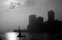 DSC_1864