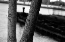 DSC_2798