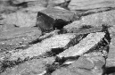 DSC_9360
