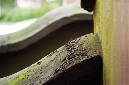 _DSC2663%20(1)