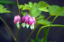 _DSC2672%20(1)