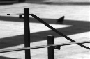 _DSC2696%20(1)