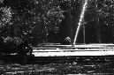 _DSC2718%20(1)