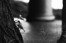 _DSC2742%20(1)