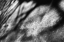 _DSC2990