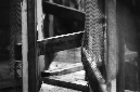 _DSC3042%20(1)
