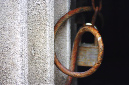 _DSC3046%20(1)