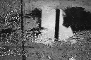 _DSC3048%20(1)