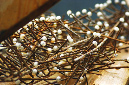 _DSC3053%20(1)