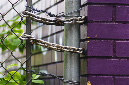 _DSC3055%20(1)