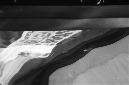 _DSC3058%20(1)