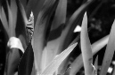 _DSC3081%20(1)