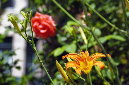 _DSC3082%20(1)