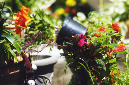 _DSC3086%20(1)