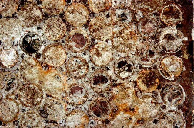 _DSC2779%20(1)