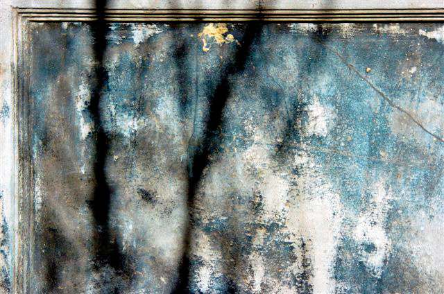 _DSC2944%20(1)