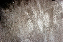 _DSC2770%20(1)