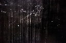 _DSC2774%20(1)
