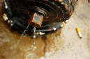 _DSC2784%20(1)
