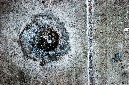 _DSC2877%20(1)