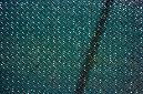 _DSC2895%20(1)