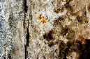 _DSC2937%20(1)