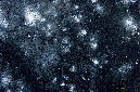 _DSC2954%20(1)