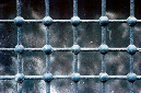 _DSC2961%20(1)