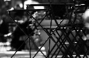 DSC_2557