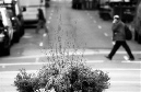 DSC_6780