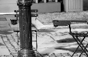 DSC_6795