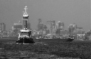 DSC_8305%20(1)