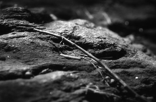 DSC_5652