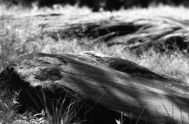 DSC_5655