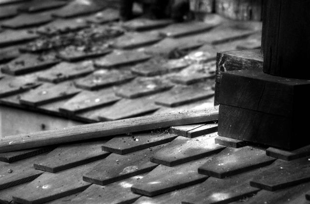 DSC_5750