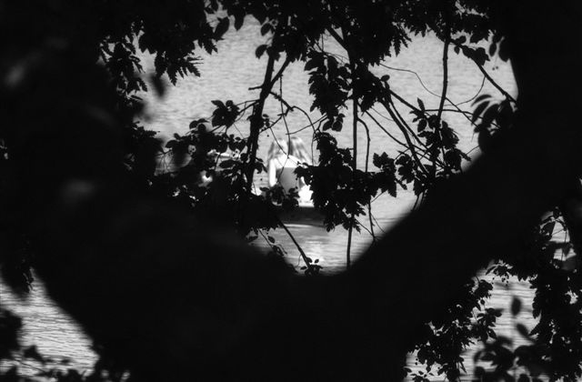 DSC_5800