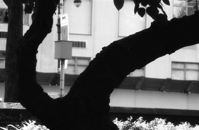 DSC_5862