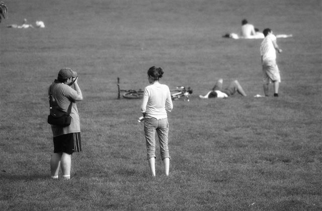 DSC_6570