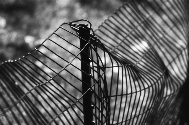 _DSC2771%20(1)