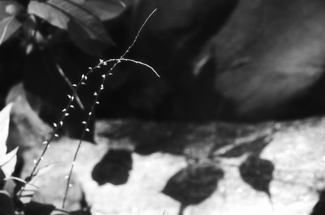_DSC5610%20(1)
