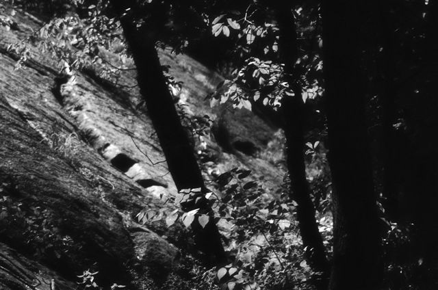 _DSC5649%20(1)