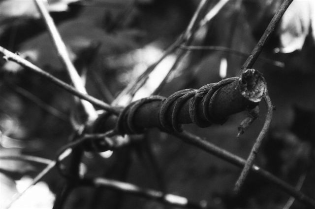 _DSC5660%20(1)