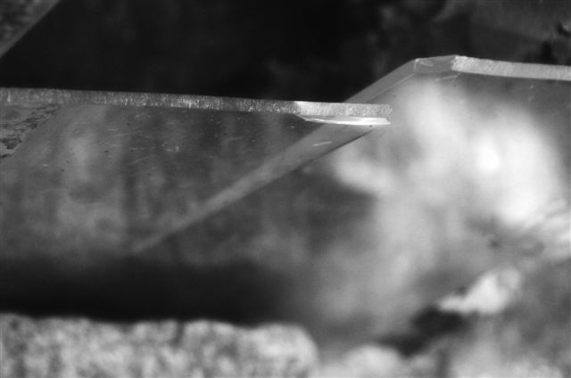 _DSC5713%20(1)
